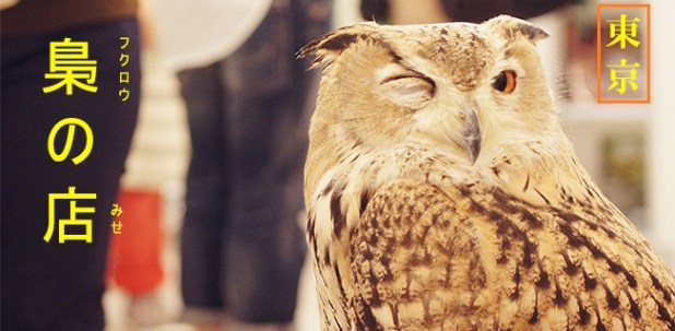 Cà-phê Cú [Fukuro no&nbsp;Mise]