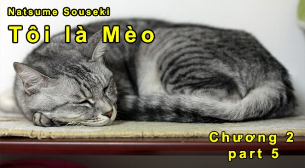 “Tôi là mèo” – Chương 2 (part&nbsp;5)