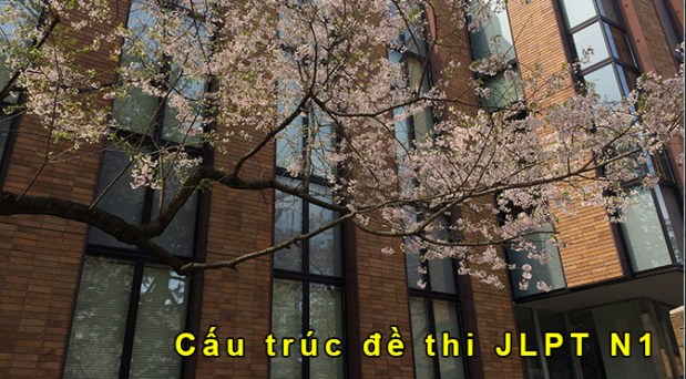 Tự luyện thi JLPT N1: Cấu trúc đề&nbsp;thi