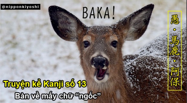 Truyện kể Kanji số 13: Bàn về mấy chữ “NGỐC”
